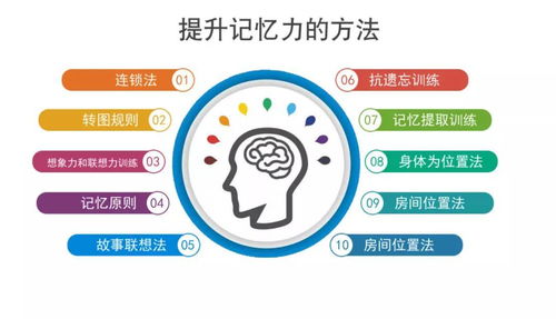 最全大腦活動法 預防癡呆、延緩衰老的實用秘籍